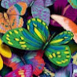 Meet your Posher, Martha